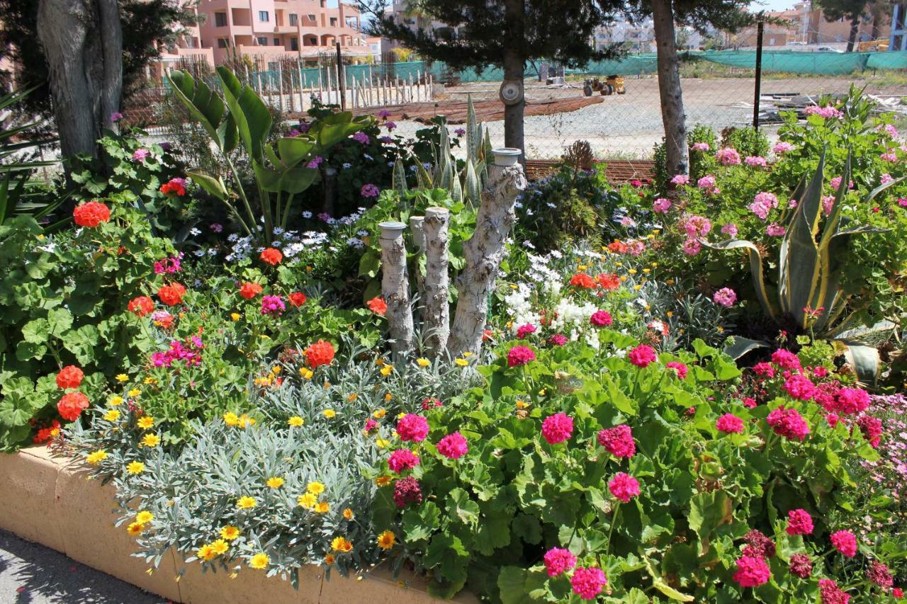 Med I-deal Escape Pafos